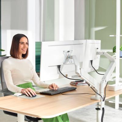 Leitz Ergo ruimtebesparende monitorarm, dubbel, lichtgrijs