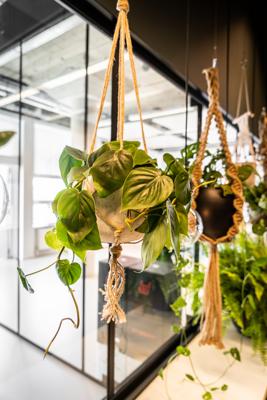 Plantenhanger Macramé Mara 110cm