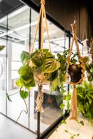 Plantenhanger Macramé Mara 110cm - thumbnail