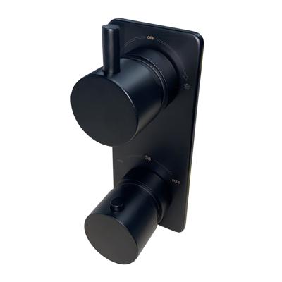 Wiesbaden Caral inbouw 2-wegs douchethermostaat rond mat zwart