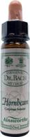 Ainsworths Hornbeam Bach 10 Milliliter - thumbnail