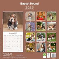 Basset Hound Kalender 2026 - thumbnail