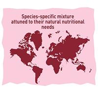 Versele-Laga Prestige Premium Parrots notenvrij papegaaienvoer 15 kg - thumbnail