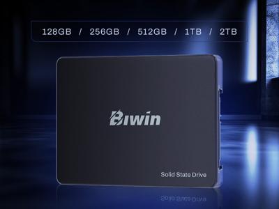 Hard Drive Biwin M100 128 GB