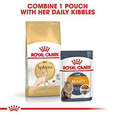 Royal Canin Adult Sphynx kattenvoer 2 x 10 kg - thumbnail