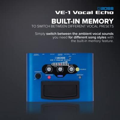 Boss VE-1
