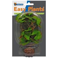 Easy Plant Laag 13 Cm Nr. 1 aquaria Superfish - Superfish - thumbnail