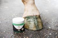 Excellent Horse Hi Gloss Glitter Hoof Polish Green 150 ml - thumbnail