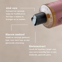 Shampoo soft wild rose - thumbnail