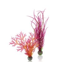 Aquariumtoebehoren plantenset medium rood & roze biOrb - Biorb - thumbnail