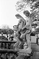 Wolfen NP100 135/36 - thumbnail