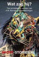 Wat zag hij? - A.M. Burrage, André Maurois, Anton Tsjechov, Eddy C. Bertin, Edward Bulwer-Lytton - ebook - thumbnail