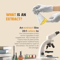 Cupplement Berberine Extract 60Capsules - thumbnail