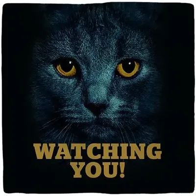 Plenty Gifts tegeltje keramiek watching you 10x10cm zwart