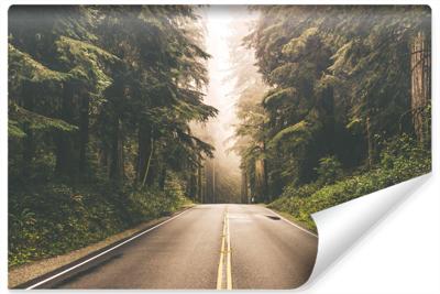 Fotobehang - Weg door het bos, premium print, inclusief behanglijm