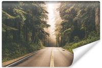 Fotobehang - Weg door het bos, premium print, inclusief behanglijm - thumbnail