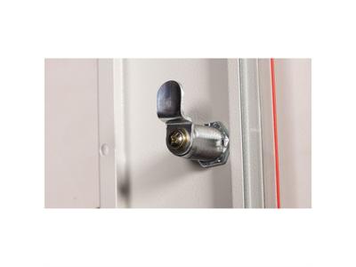 ROLINE 19” wandbehuizing Basic Plus 18U, 600x450 BxT grijs