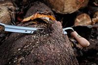 Kirschen 4000250 Trekmes - thumbnail