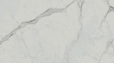 Exigo Statuario wandtegel gepolijst 30,5x56 rett