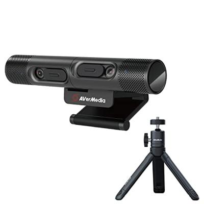 AVerMedia Dualcam PW313D webcam