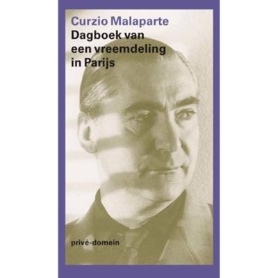 Dagboek van een vreemdeling in Parijs (Paperback)