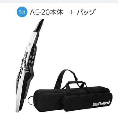 Roland AE-20 Aerophone digitaal blaasinstrument Roland AE-20 Aerophone digitaal blaasinstrument