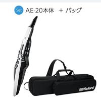 Roland AE-20 Aerophone digitaal blaasinstrument - thumbnail