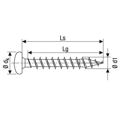 SPAX 880930140050030 R 88093 Ruko m.Spitze/T-STAR Bolkop houtschroef 5 mm 30 mm Torx, Binnen-T Staal Galvanisch verzinkt 500 stuk(s)