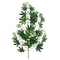 Acer Maple tak x44 FR 70cm - thumbnail