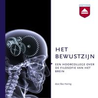 Het Bewustzijn - thumbnail
