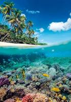 Clementoni legpuzzel zomerparadijs, 1000st. - thumbnail