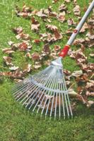 Wolf Multi-Star combisysteem 71AAA032650 UE-M Gazonhark 50 cm - thumbnail