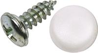 Dresselhaus nummernschildschraube no.-plate tapping screws 5.6 x 16 mm - thumbnail