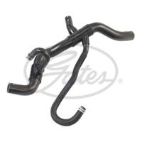 Radiateurslang 052410 - thumbnail