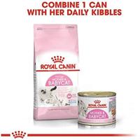 Royal Canin mother & babycat kattenvoer 12x195gr blik mousse - thumbnail
