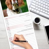English Springer Spaniel Slim Calendar 2026 Dog Breed Slimline Calendar - 12 Month - thumbnail