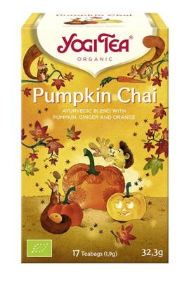 Pumpkin chai bio 17 Zakjes