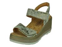 Mephisto Betanie - thumbnail