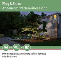 Paulmann 94368 Verlichtingssysteem Plug&Shine Warmwit Grijs - thumbnail
