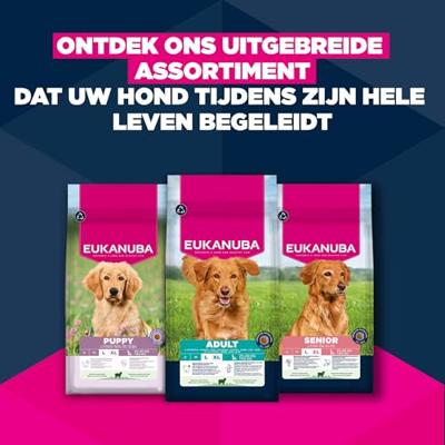 EUKANUBA Puppy L XL Rich in lamb & rice - droog hondenvoer - 12kg