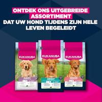 EUKANUBA Puppy L XL Rich in lamb & rice - droog hondenvoer - 12kg - thumbnail