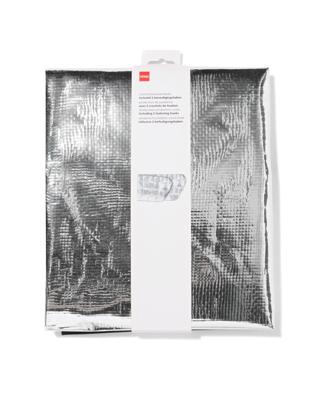 HEMA Berschermfolie voor autoruit