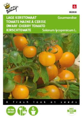 Zaden Tomaten Gourmandise (gele cherry patio) Buzzy - Buzzy