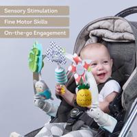 Tropical orchestra arch - thumbnail