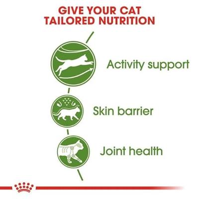 Royal Canin Feline Outdoor 30, per stuk verpakt (1 x 400 g)