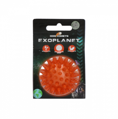 Dog Comets Exoplanet Orange S