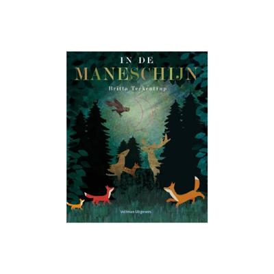 In de maneschijn (Hardback)