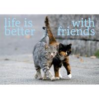 Ansichtkaarten Life is Better. - thumbnail