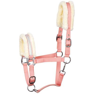 Harry's Horse Halster Lyrics V