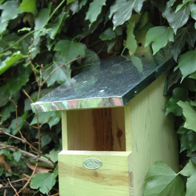 Nestkast Roodborst Nestkast Roodborst